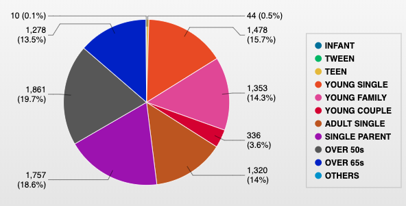 pie chart report